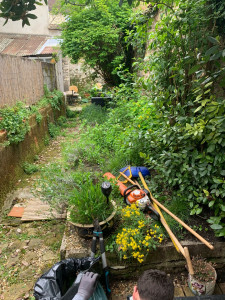 Photo de galerie - Nettoyage de massif