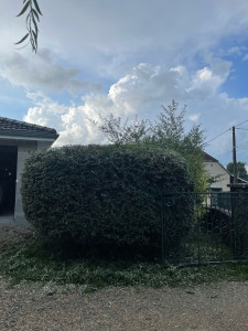 Photo de galerie - Taille