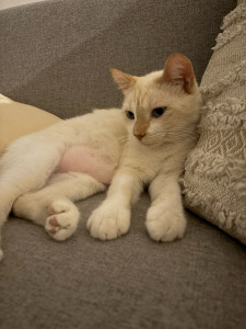 Photo de galerie - Tout calme 