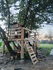 Photo de galerie - Cabane dans les arbres pour les enfant 