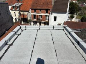 Photo de galerie - Toits terrasse, bitume