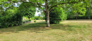 Photo de galerie - Tonte de pelouse 