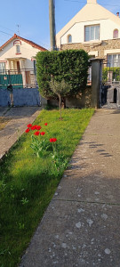 Photo de galerie - Paysagiste - Aménagement du jardin