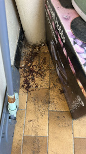 Photo de galerie - Ménage