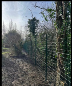 Photo de galerie - Clôture Grillage