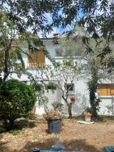 Photo de galerie - Peinture - Tapisserie