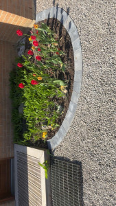 Photo de galerie - Arrondie en pavé bleu béton 