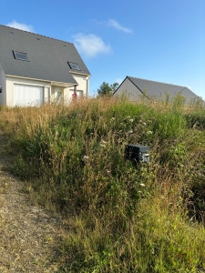 Photo de galerie - Débroussaillage avant 