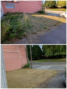 Photo de galerie - Entretien d'une pelouse de 250m2