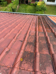 Photo de galerie - Nettoyage toiture 