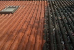 Photo de galerie - Couverture - Toiture