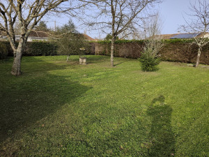 Photo de galerie - Tonte 