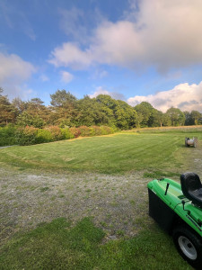 Photo de galerie - Tonte de gazon 