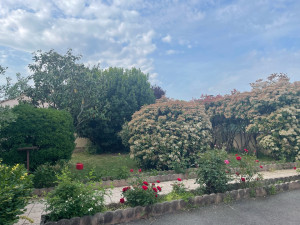 Photo de galerie - Rafraîchissement de jardin 