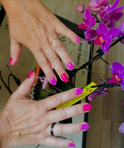 Photo de galerie - Embellisement de mains + vernise clasique