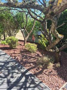 Photo de galerie - Mise en place de la pouzzolane 