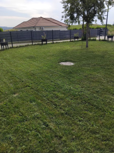 Photo de galerie - Tonte de pelouse - Débroussaillage