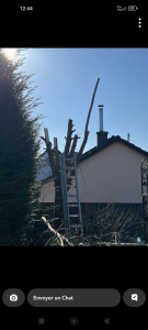 Photo de galerie - . 