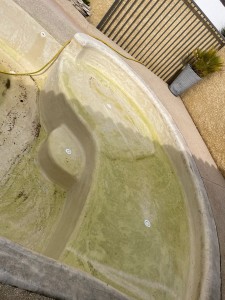 Photo de galerie - Nettoyage piscine avant 