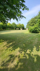 Photo de galerie - Tonte de pelouse - Débroussaillage