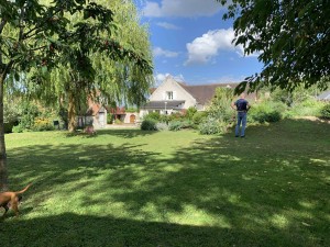 Photo de galerie - Réalise toute sorte de travaux dans jardin (tonte,etc..) 