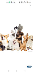 Photo de galerie - Bonjour 
je vous propose mes services pour venir rendre visite à vos animaux lorsque vous êtes absents.
j'adore les animaux de compagnie 
a très bientôt.