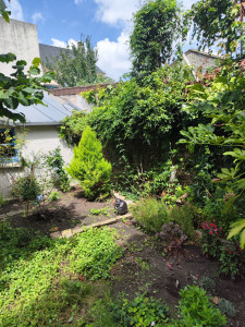 Photo de galerie - élagage taille tonte etc