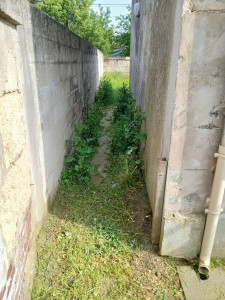 Photo de galerie - Tonte de pelouse - Débroussaillage