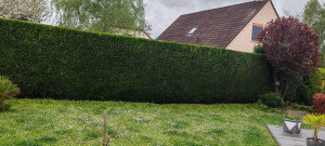 Photo de galerie - Paysagiste - Aménagement du jardin