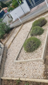 Photo de galerie - Désherbage allée de gravier + taille des lavandes