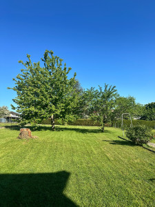 Photo de galerie - Tonte jardin 
