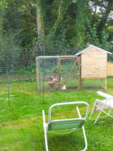 Photo de galerie - Fabrication d'un poulailler en bois avec sa petite volière.