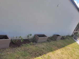 Photo de galerie - Plantation 