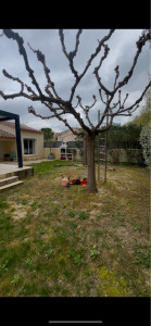 Photo de galerie - Création de massifs & pose de gazon en plaque