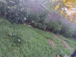Photo de galerie - Paysagiste - Aménagement du jardin