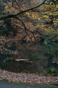 Photo de galerie - Le loiret