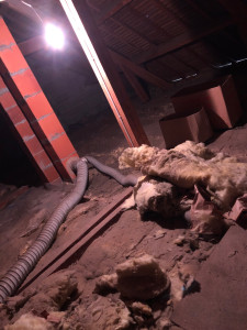 Photo de galerie - Couverture - Toiture