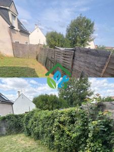 Photo de galerie - Taille d'une haie, arrachage