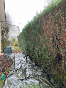 Photo de galerie - Avant