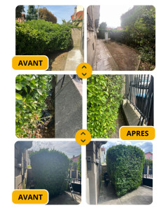 Photo de galerie - Préstation de jardinage