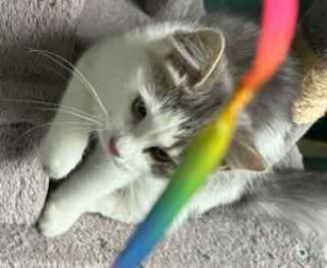 Photo de galerie - Elle est à croquer