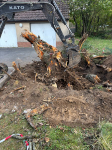 Photo de galerie - Taille de haies et d'arbustes