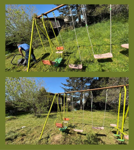 Photo de galerie - Tonte et débroussaillage, intervention dans l’heure 