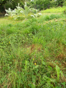 Photo de galerie - Avant 