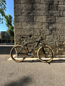 Photo de galerie - Spécialized stumpjumper