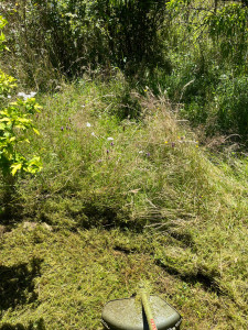 Photo de galerie - Débroussaillage terrain de 1500m2.
herbes très très hautes.