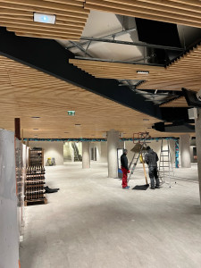 Photo de galerie - Plafonds en lambris 