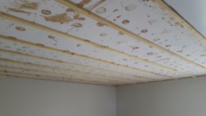 Photo réalisation - Plâtrerie - Murs - Plafonds - Christophe (chris charpente) - L'Isle-sur-le-Doubs : Rénovation plafond 