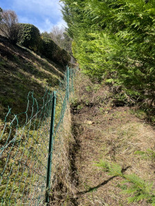 Photo de galerie - Tonte de pelouse - Débroussaillage