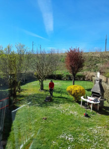 Photo de galerie - Tonte + débroussaillage après la taille des haies 